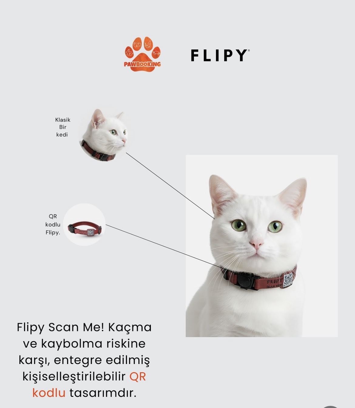 FLİPY QR KODLU KEDİ BOYUN TASMASI*5